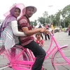 darniyahmamahrin