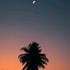 sodapop_118