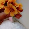 liliani2555