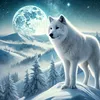white.wolf.23