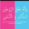 fatima.muhammad166