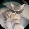 allanfdg2