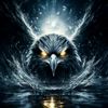night_account4212
