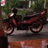 dugong_darat21