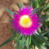 franky_165