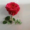 adrita_islam903