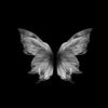 rahaf.sabry