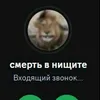 .22841463