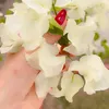 dd3gg16