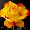 khin.khin0422