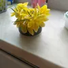 oksanlrsn0t
