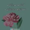 younusarain22