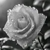 11____uip