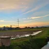 nguynhoaianh75