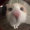 usern0tfound008