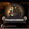 leonardopoleo6