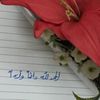 anod400