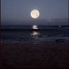 muhammad_evmesgg511