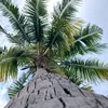 JuicyyyyCoconut