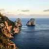 nandosalimbene
