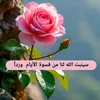 user92439874105018