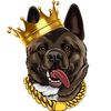 kingydoodle
