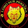 rodriguesrodrigue203