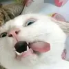auralqxiiee._4