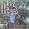 user8505307459724