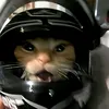 yurisvoll