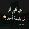 user37005076678203