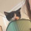 toby_4347