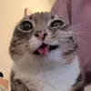 skebetzuh