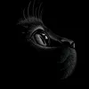 noon_mm10