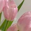 sopia_464