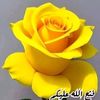 user4296792111127