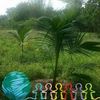 user5026538146003
