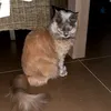 lamiahabibi33