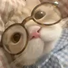 helentiktok55