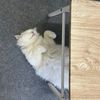 axko_skt