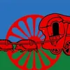 leniglo49