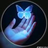 fatema........srity