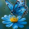 🌼🦋 Daisy Butterfly 🦋🌼