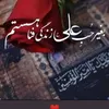 syedaliimam058