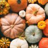 fall_vibes91