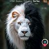 MUغHAL