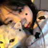 cikkaaflwryy4