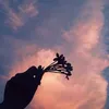 vux.1203