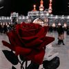 nour.miiin