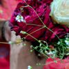 chandniislam72